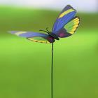 Decorative plug "Butterfly" mix