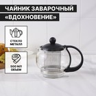 The tea pot 500 ml "Inspiration"