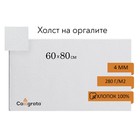 Холст на оргалите 4 мм, 60 х 80 см, хлопок 100%, акриловый грунт 1265691 - фото 7059059