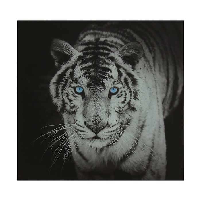 Картина на стекле "Тигр"  50х50см - фото 938116