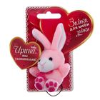 Именная зайка "Ирина" Именная зайка "Ирина"