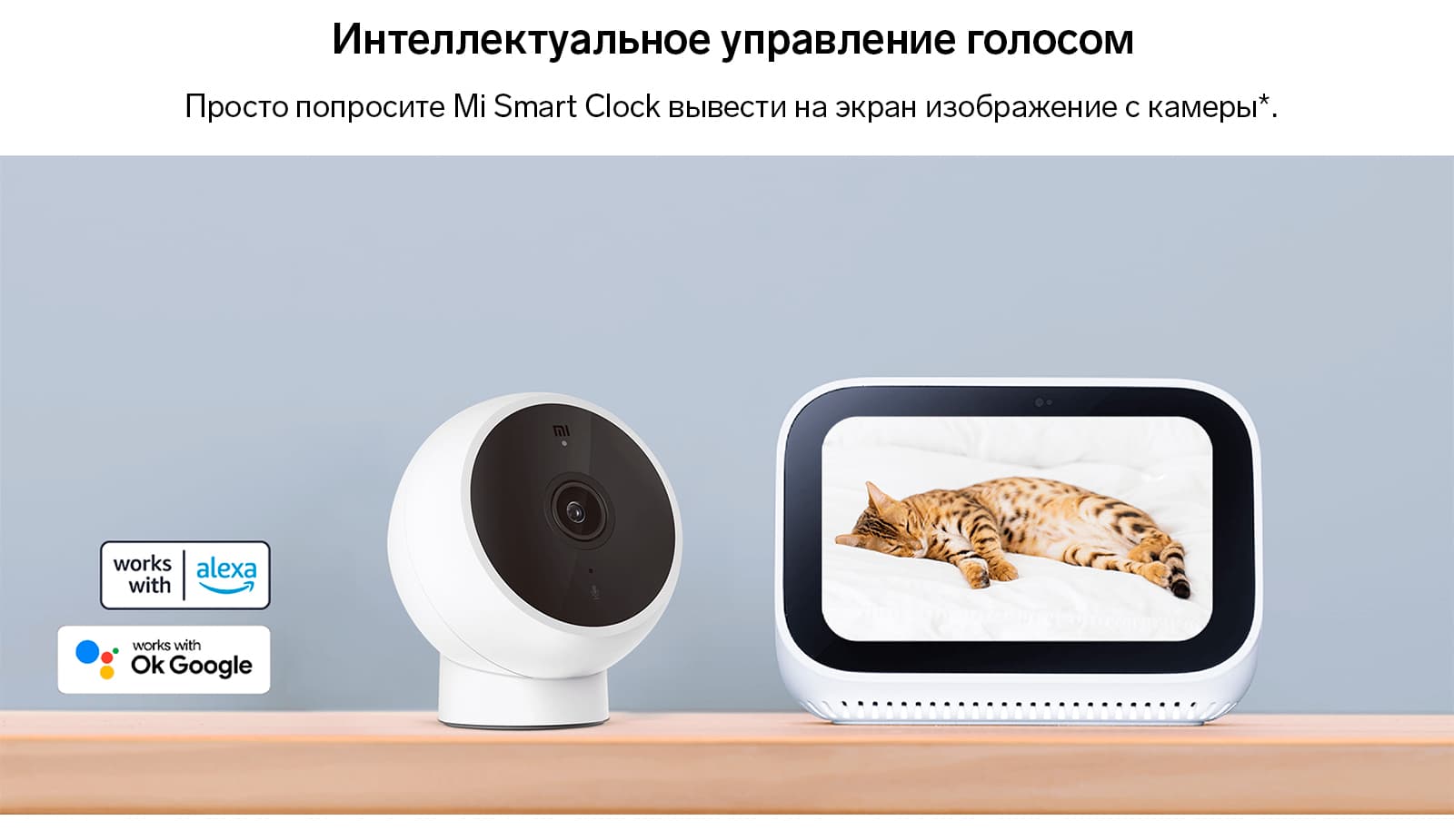 Видеокамера Xiaomi Mi Camera 2K Magnetic Mount