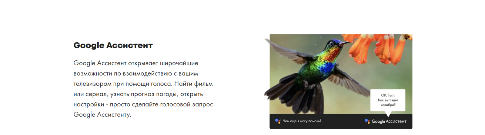 Google ассистент.