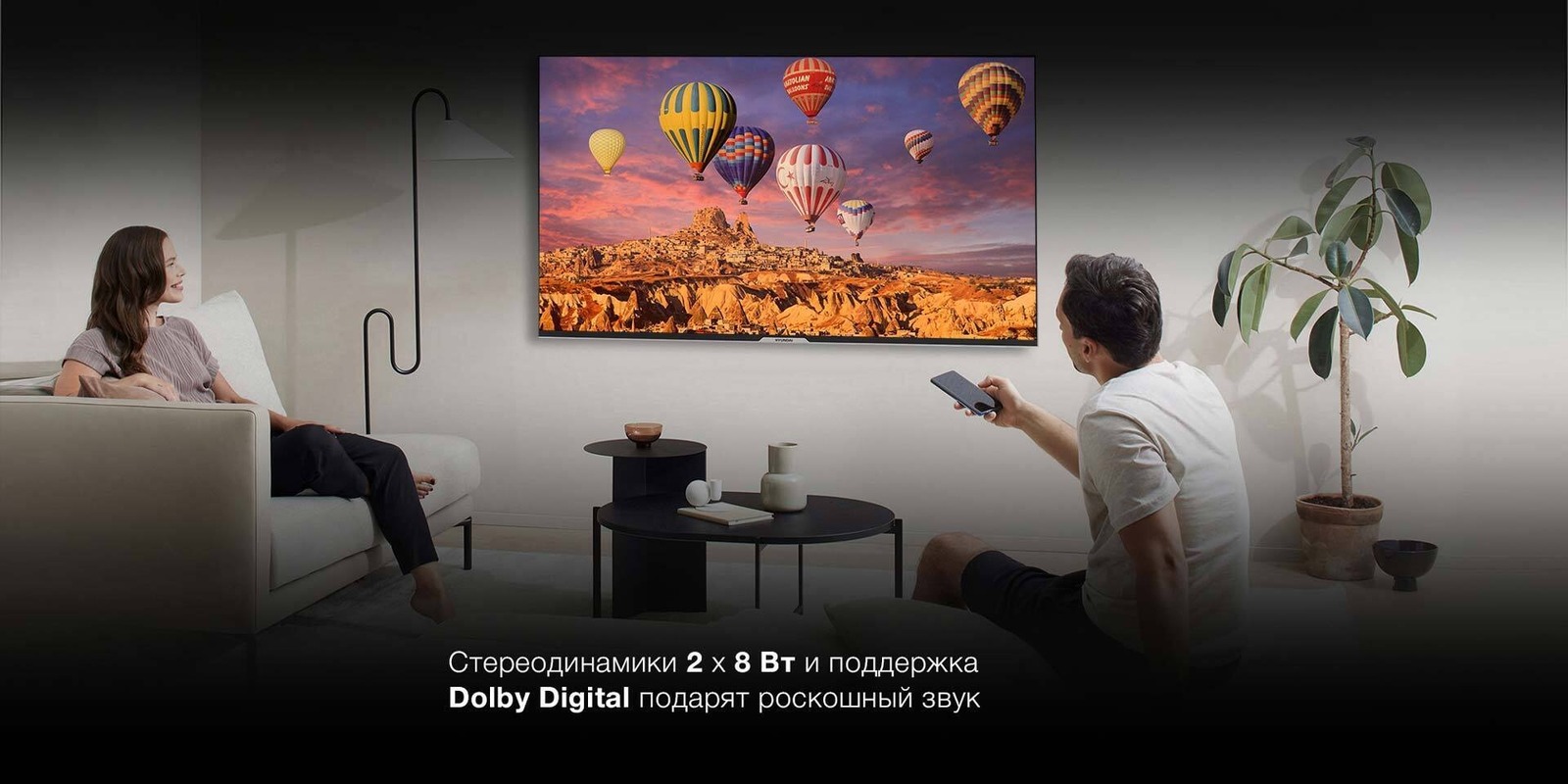 Стереодинамики 2х8 Вт и поддержка Dolby Digital.