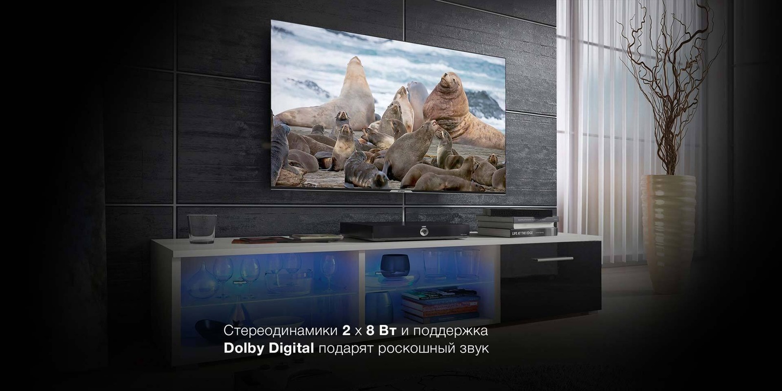 Стереодинамики 2х8 Вт. Dolby Digital подарит шикарный звук.
