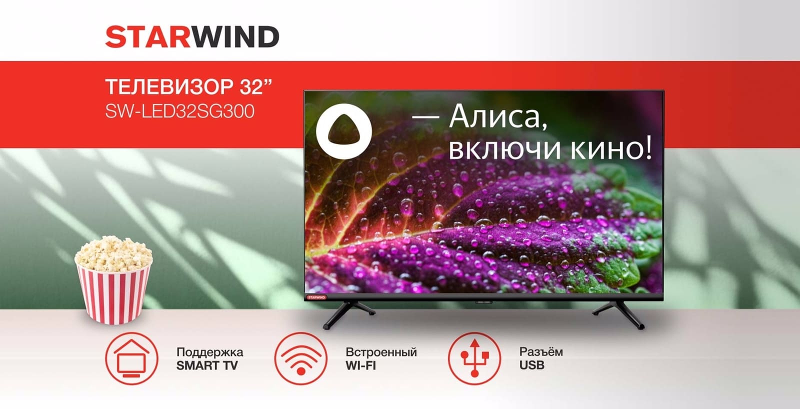 Телевизор Starwind SW-LED32SG300, 32.