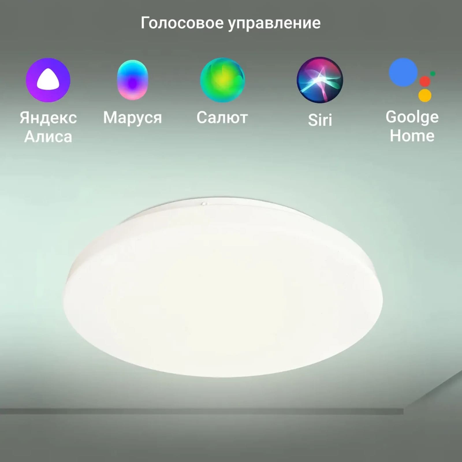 Голосовое управление. Работает с голосовыми помощниками Яндекс Алиса, Маруся, Салют, Сири (Siri), Google Home.