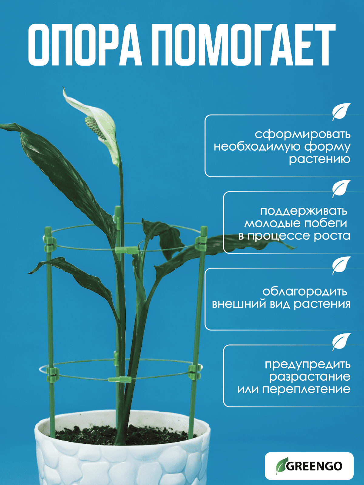 Кустодержатель