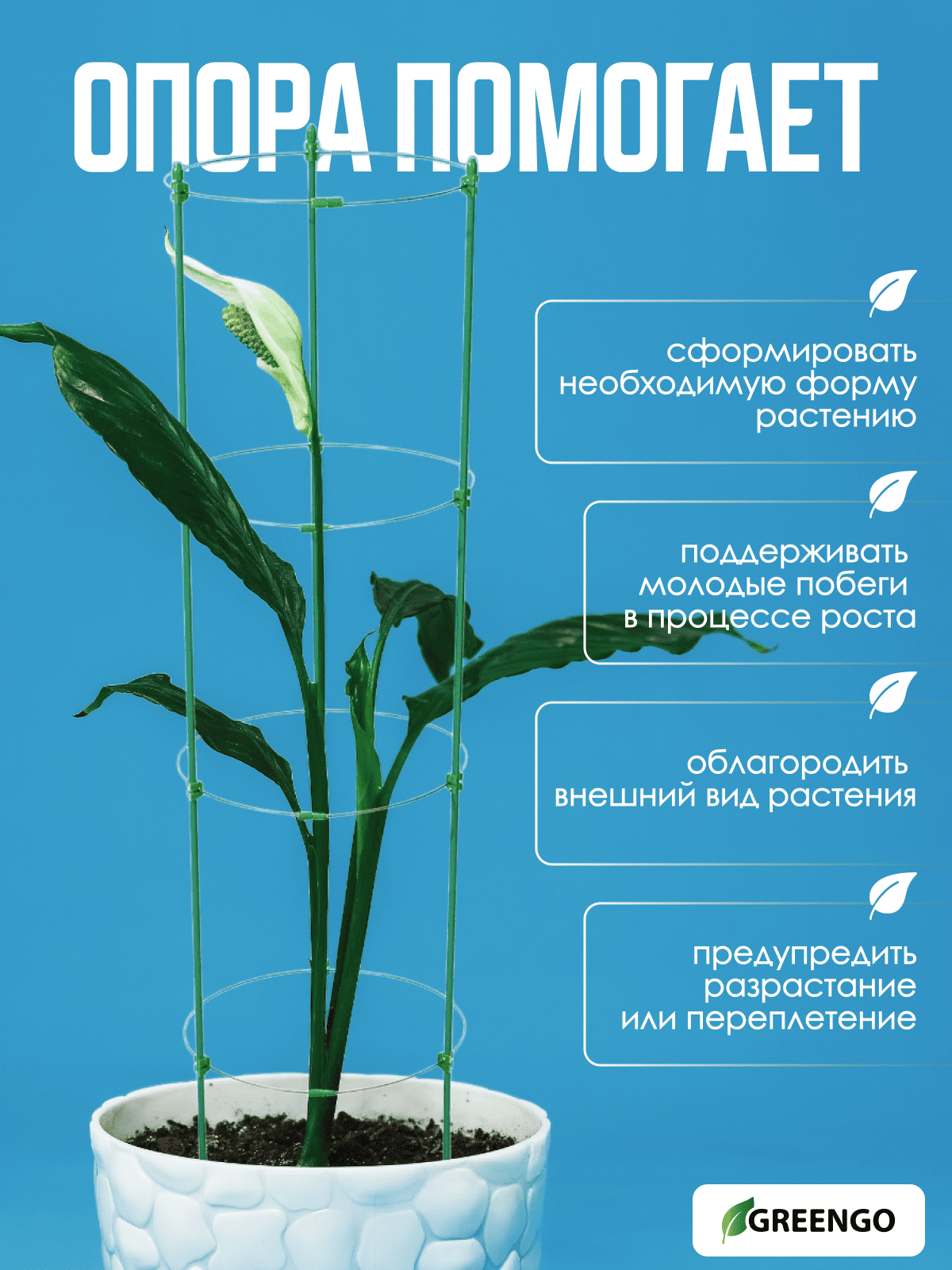 Кустодержатель