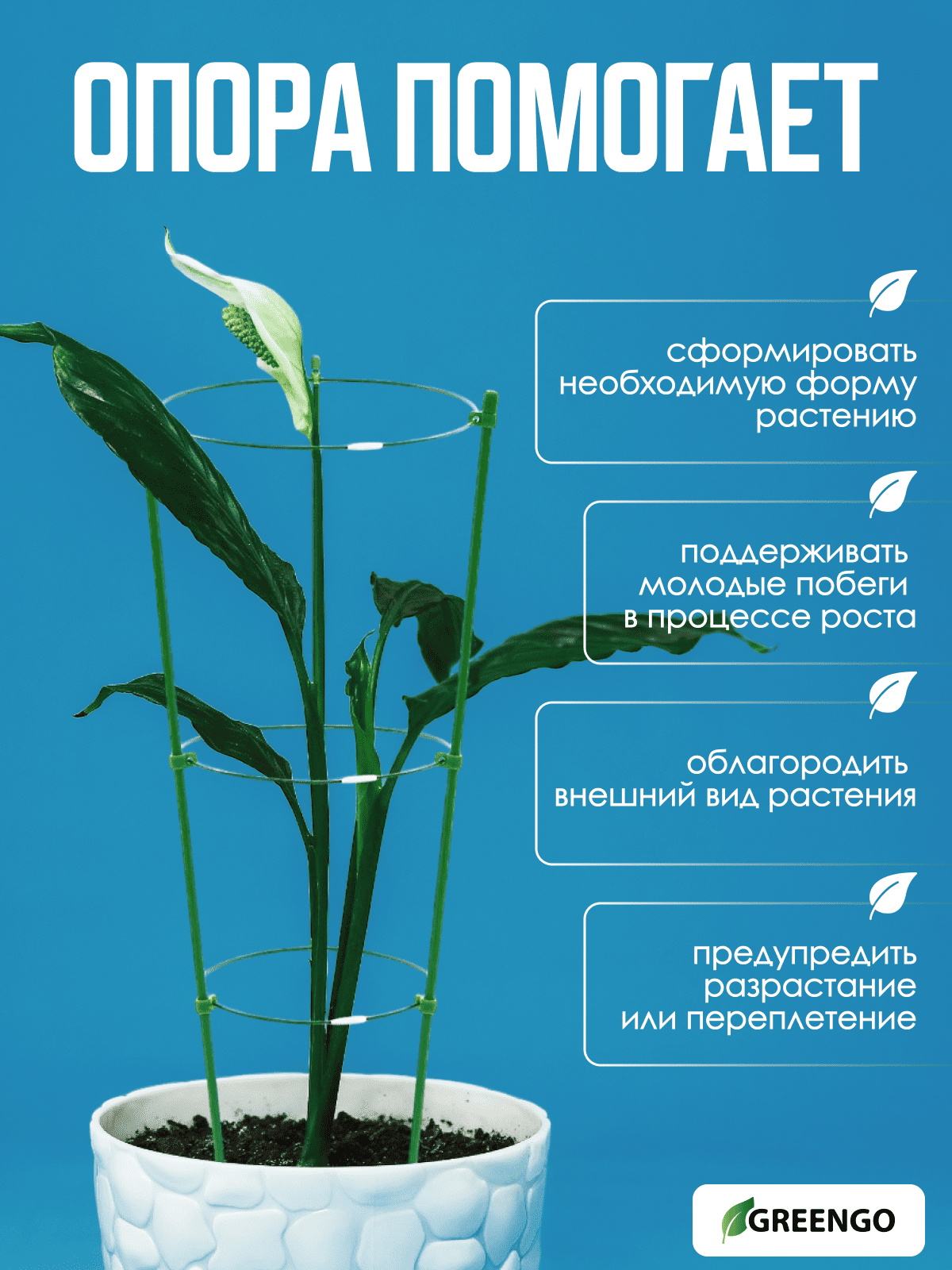 Кустодержатель