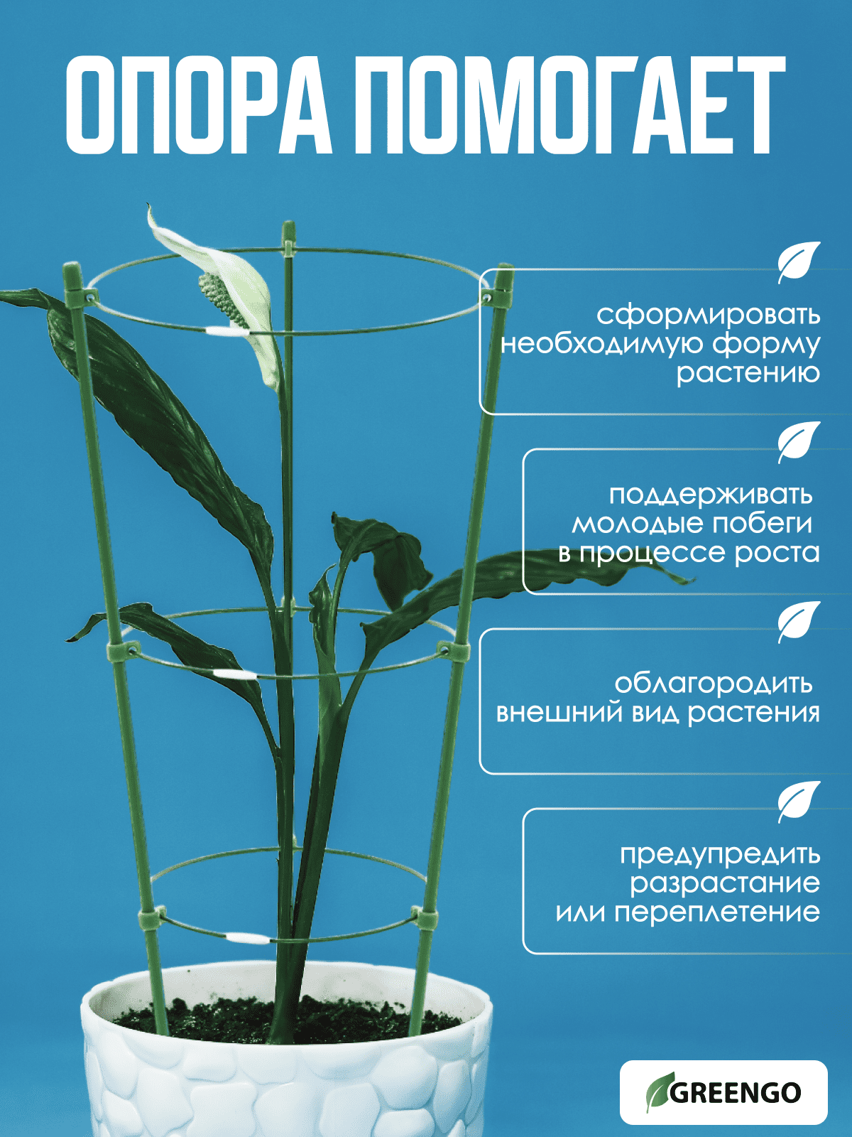 Кустодержатель