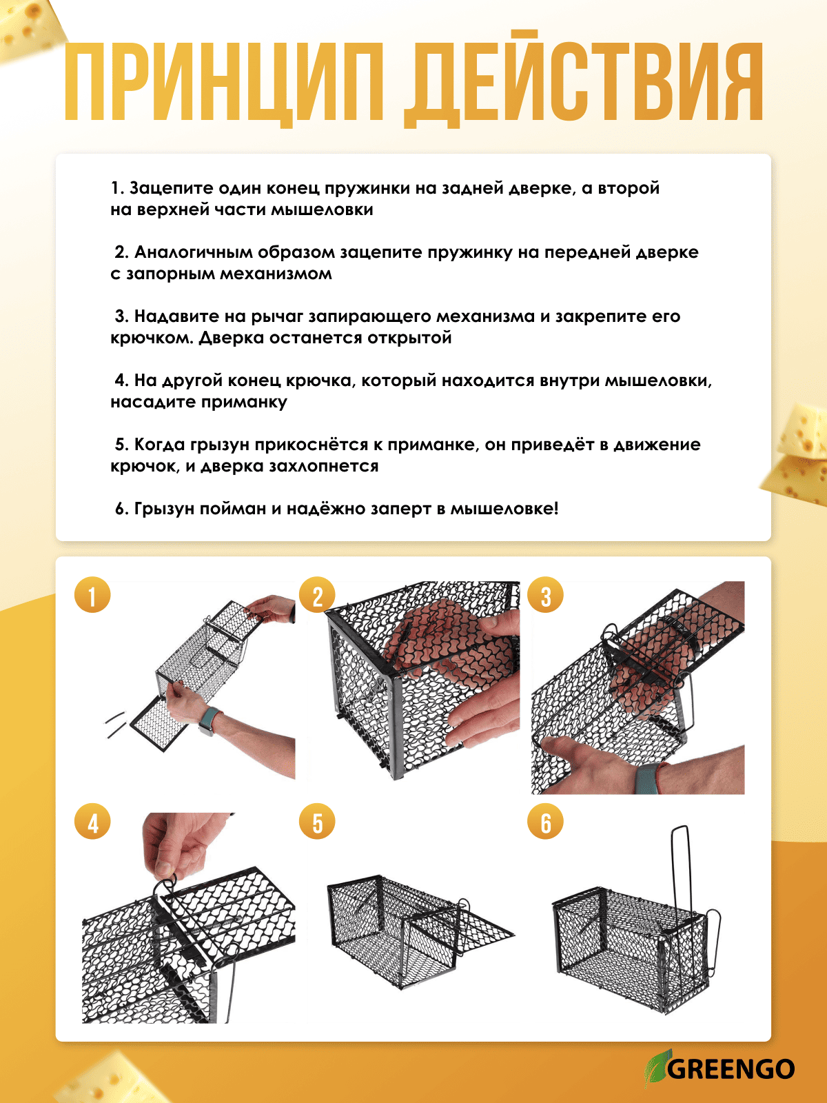 Принцип действия мышеловки-клетки